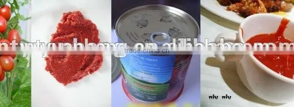 70G-4500G China Hot Sell Price Canned Tomato Paste 28-30%brix Plant photo-4