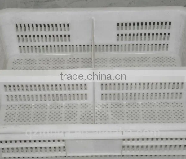 Fuhua Plastic Product Egg Basket / Egg Tray / Baby Chicken Poultry Baskets
