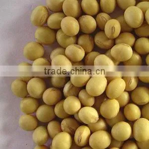 Soyabean Meal 43%-48% photo-5
