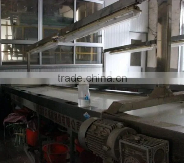 Belt-type Color Sorter for Peanut Kernel/peanut Separating Machine photo-5