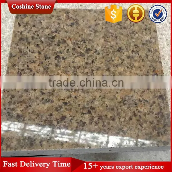 Wholesale Indian Golden Leaf Granite Price photo-3