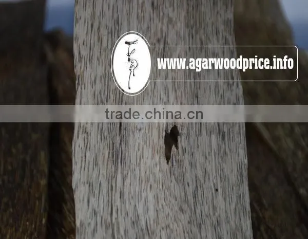 Vietnam Agarwood Chips, Balance Life and Meditation With Wonderful Smoke of Aloeswood, Eaglewood, Oud Chips photo-3