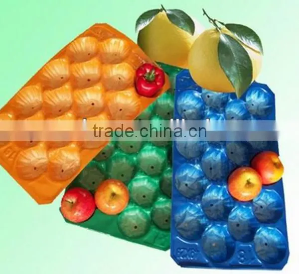 Safety Protection Plastic Alveolar PP Fruit Packing Tray photo-6