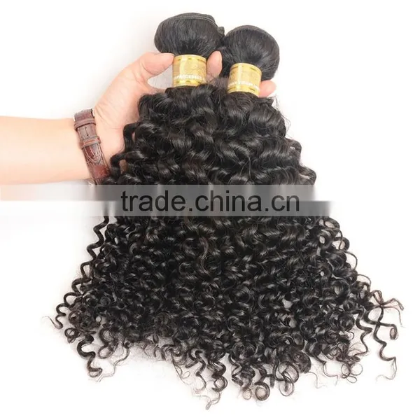 Kinky Curly Virgin Indian Hair Wholesale Unprocessed 8A Indian Human Hair Weaves Extension photo-5