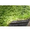Sell Artificial Grass, Synthetic GrassGT QDS30-4 (four Colors)