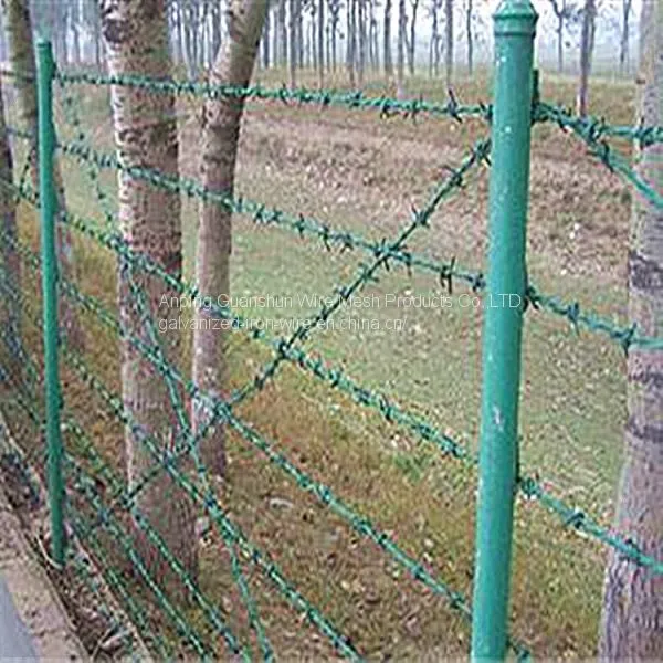Barbed Wire Fence