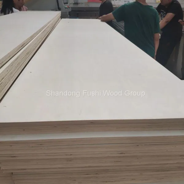 Poplar 4x8 Veneer Plywood photo-5