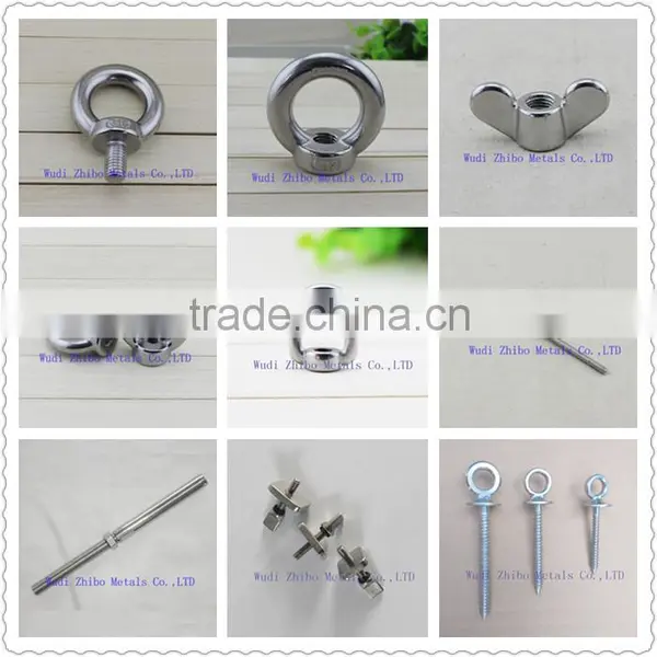 China Manufacture Supply Stainless Steel Rigging Screw Wing Nut photo-4