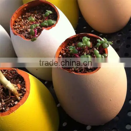 Egg Pot