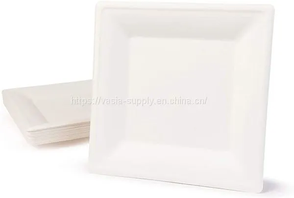 Low Price Biodegradable Disposable Bagasse ‎‎‎26 x 26 x 1.5 cm Square Dishes, for Barbecue, Birthday or Party. photo-5
