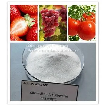 Supply Agrochemical Gibberellic Acid Ga3 90%tc for Sale With Price photo-2