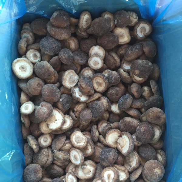 Hebei Hangen Import And Export Co.,ltd company overview - view 3