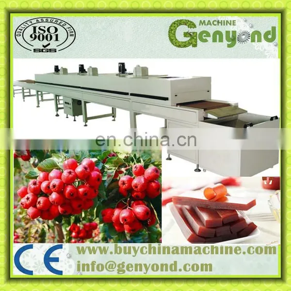 Accurate Hawthorn Sweetend Roll Processing Line photo-4