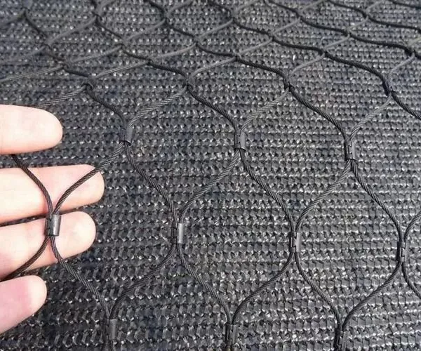 China Factory Black Oxide Stainless Steel Rope Wire Mesh photo-2