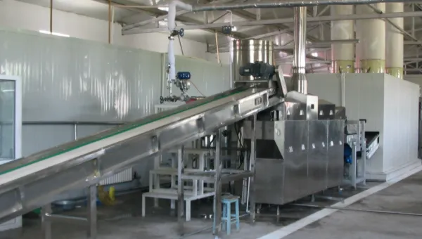 Automatic Frozen Fruit & Vegetable Processing Line Frozen Asparagus Production Line photo-4