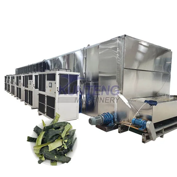 Chain Band Dryer Machine Industrial Dryer Machine Fruit Dehydrator Vegetable Dryer EPC
