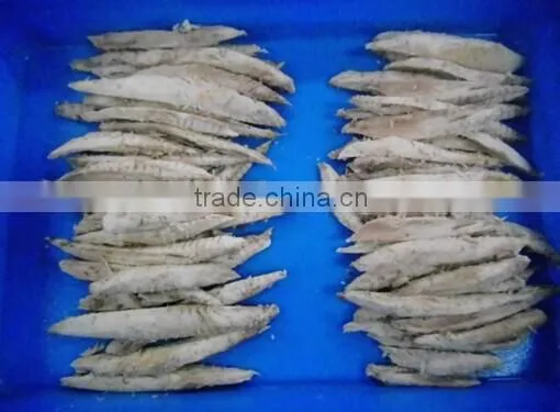 Frozen Precooked Vacuum Packing Bonito Lion and Auxis Thazard photo-5
