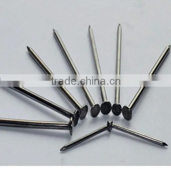 Polished Flat Round Head Common Wire Nail photo-3
