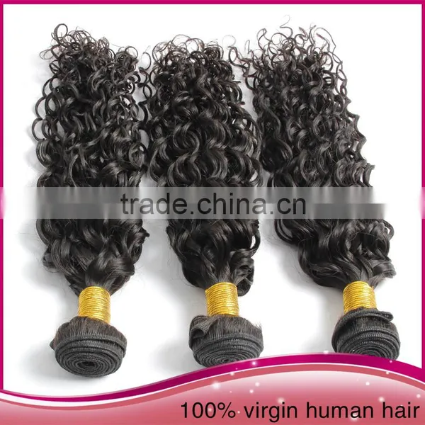 Cheap Curly Human Hair Weaving Virgin Indian Curly Hair Weaving Cheap Burgundy Curly Hair Weaving photo-3