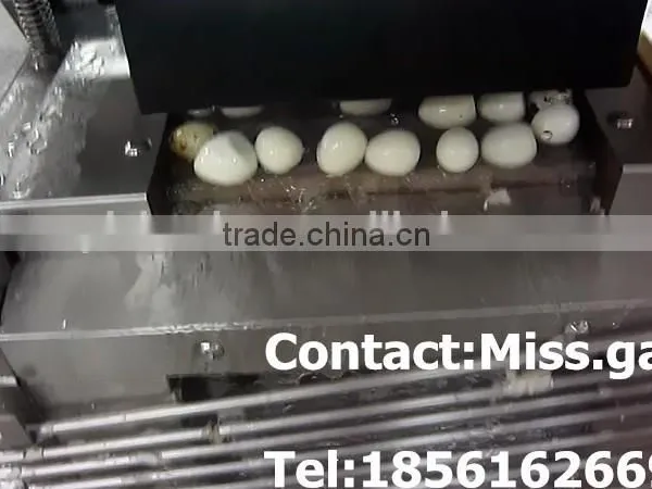 Quail Egg Shell Broken Machine photo-2