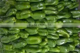 Green Pepper
