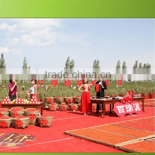Attractive Bulk Goji Berries photo-2