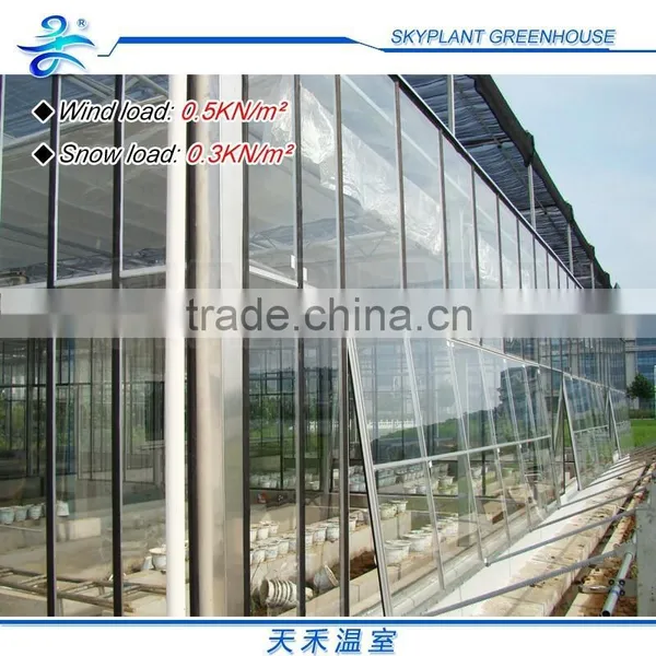 Horticultural Glass Greenhouse Multi-span Glass Greenhouse photo-3