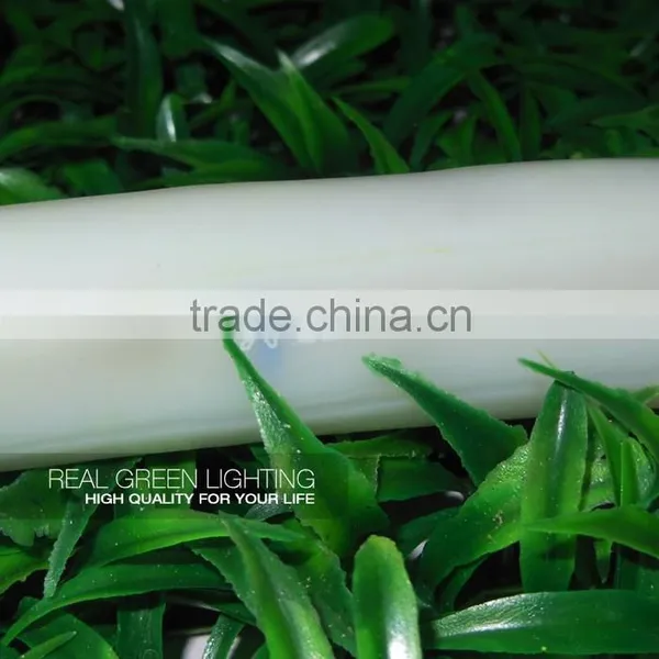 High Output Waterproof IP65 220V LED Neon Rope Light photo-3