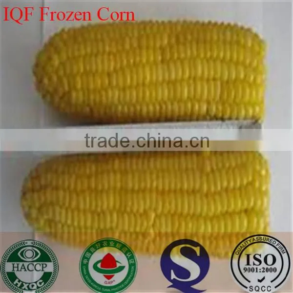 IQF Freezing Process and Frozen Style Canned Sweet Kernel Baby Corn photo-2