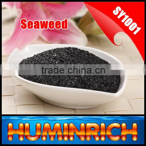 FAQ 19--Application Of Seaweed Extract Fertilizer On Vegetable photo-5