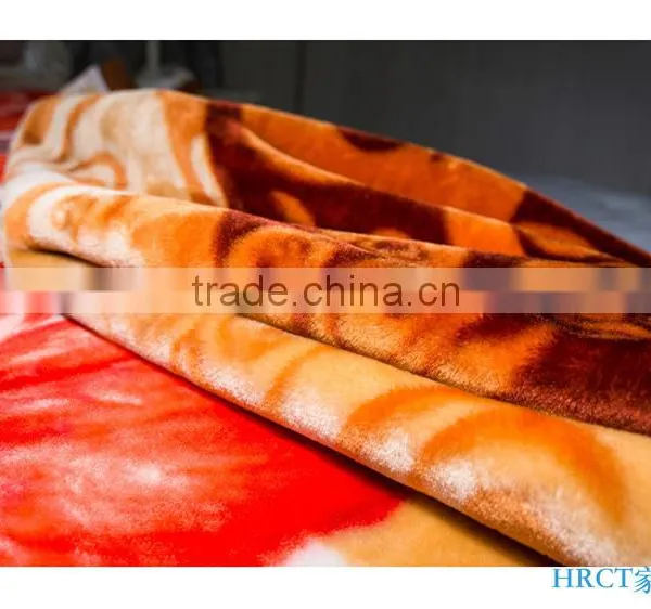 Hot Selling New Design 100 % Polyester Korean Style 2 Ply Mink Blanket photo-4