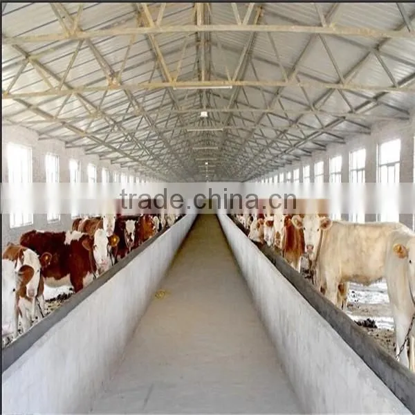 LTX006 Steel Structure Cow Shed photo-2