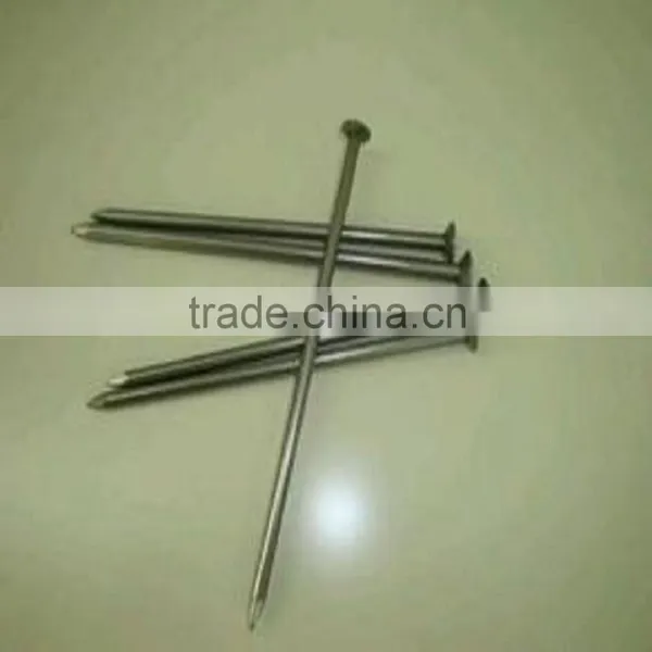 From FACTORY High Quality Common Nails photo-6