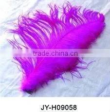 The Chic /colorful Flower Feather Headband photo-6