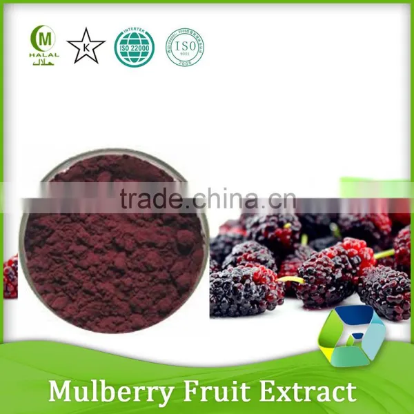 Mulberry Fruit Juice Concentrate Powder photo-2