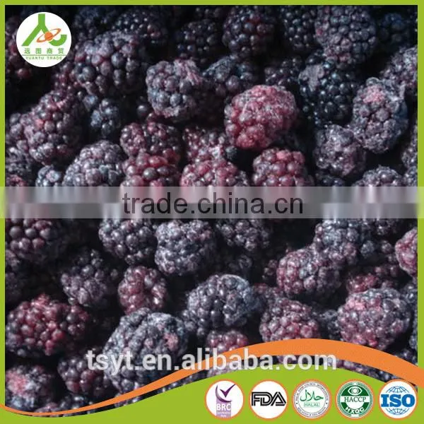 Asian Frozen Vegetables and Fruits Iqf Frozen Blackberry photo-5