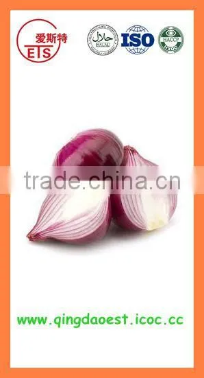 Fresh Red Onion FOR SALE photo-4