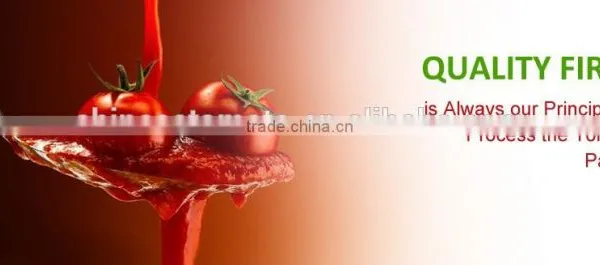 70 g Sachet Tomato Paste in Box and Carton Packaging From China Supplier photo-5