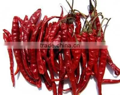 Best Quality Dried Red Chill Exporters