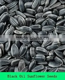 Sunflower Seeds for Oil /oil Seeds
