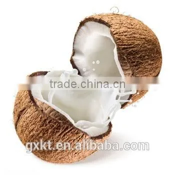 Organic Extra Virgin Coconut Oil - Bulk Supply 1000ml photo-2