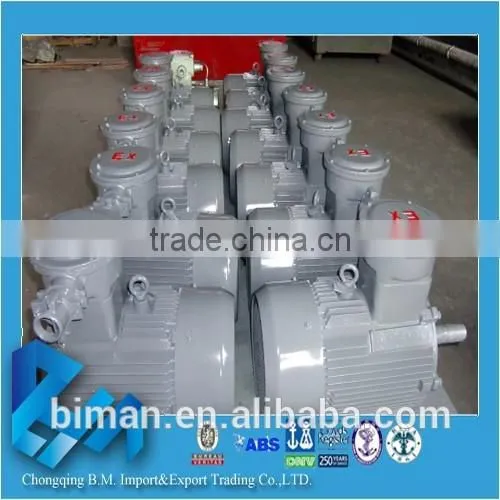 Flameproof electric motor