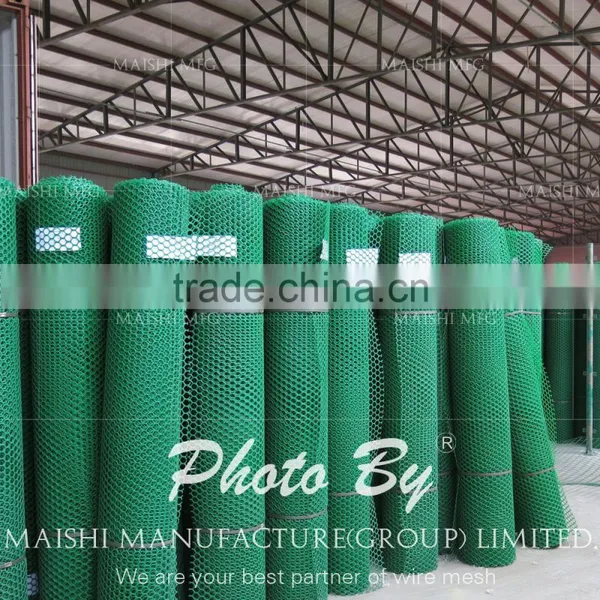 Grass Reinforcement Plastic Net photo-3