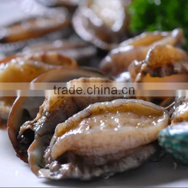 Fresh Frozen Abalone Whole (with Shell) photo-4