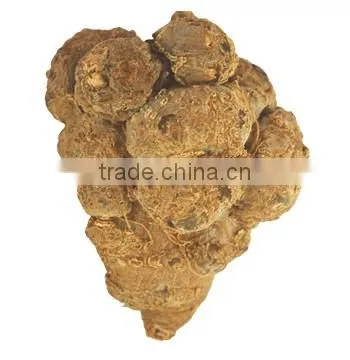 Top Quality Organic Panax Notoginseng Root/Powder photo-2