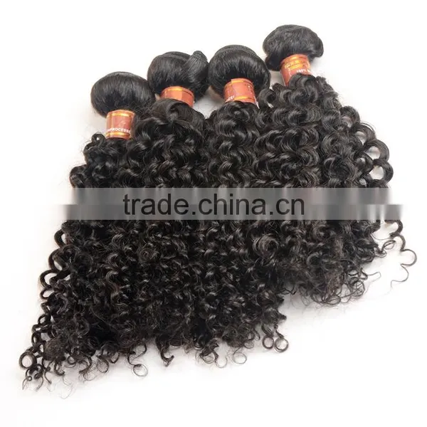 Unprocessed Kinky Curly Virgin Malaysian Hair Wholesale Malaysian Human Hair Weaves Curly Extension photo-3