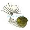 Coil Nail