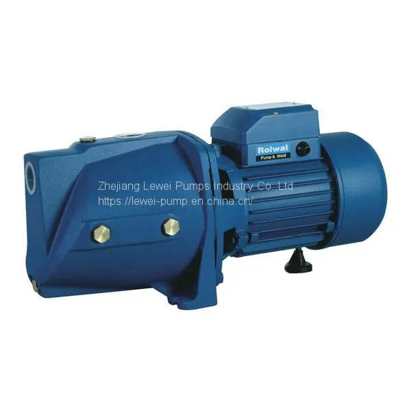 JSW Series 12M Self Priming Water Pump photo-3