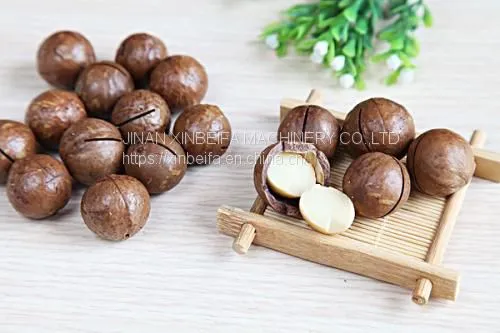 Macadamia Nut Drying Machine photo-5