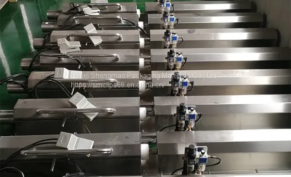 Automatic Meat Roll Filling Machine photo-3